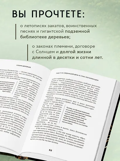 Племя деревьев. О чем говорят корни и кроны - фото 6