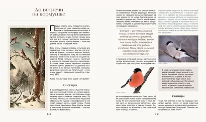 Тайная жизнь леса. Русская природа в фактах и зарисовках - фото 11