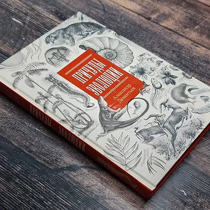 Причуды эволюции - фото 13