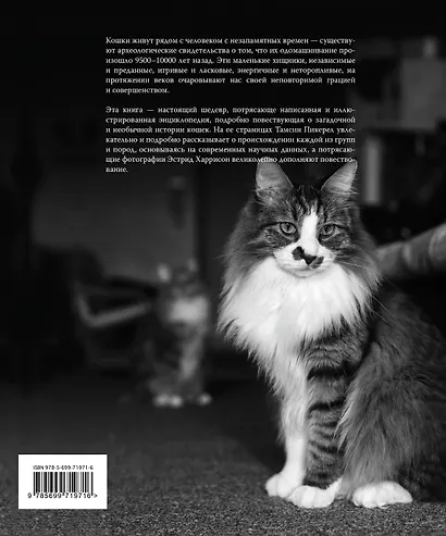 Кошки. Иллюстрированная энциклопедия - фото 2