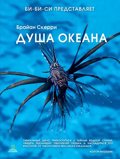 Душа океана - фото 1
