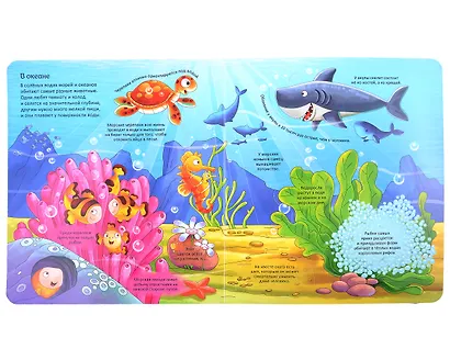 Животные. Энциклопедия с окошками - фото 3