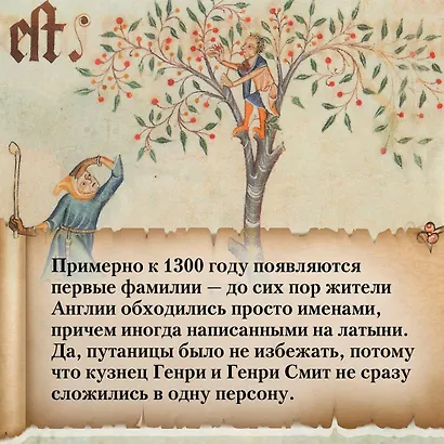 Жизнь в средневековой деревне - фото 8