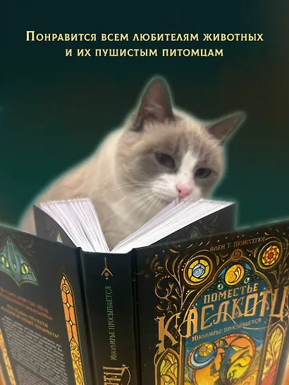 Поместье Каслкотц. Иномирье просыпается - фото 8