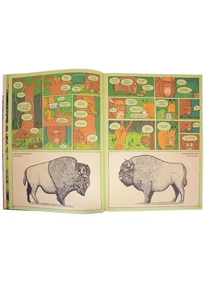 По дороге в Йеллоустоун. Необычайное путешествие по паркам мира - фото 6