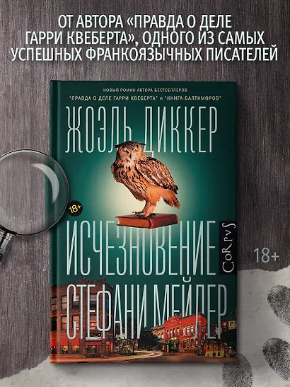 Исчезновение Стефани Мейлер - фото 3