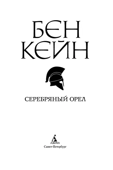 Серебряный орел - фото 5