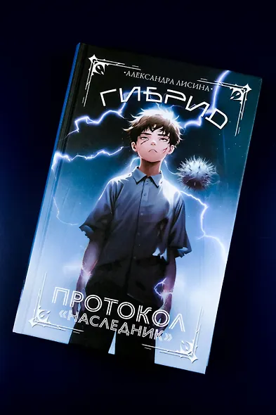 Гибрид. Протокол Наследник - фото 6