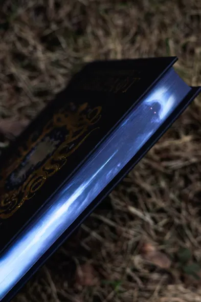 Хребты безумия - фото 9