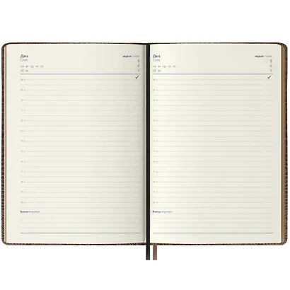 Ежедневник недат. А5+ 192л 175x245 "Аллигатор" светло-коричневый, иск.кожа, тв.переплёт, поролон, офсет, ляссе, мет.уголки, подар.карт.коробка с ПВХ-крышкой - фото 3