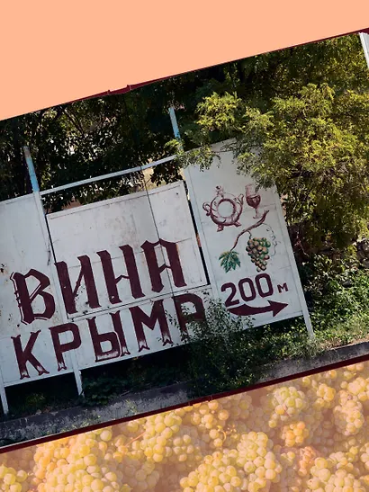 Атлас русского вина. От Крыма до Волги: путеводитель по российским винам - фото 7