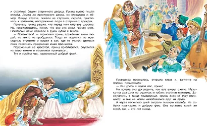 Сказки о принцах и принцессах - фото 10