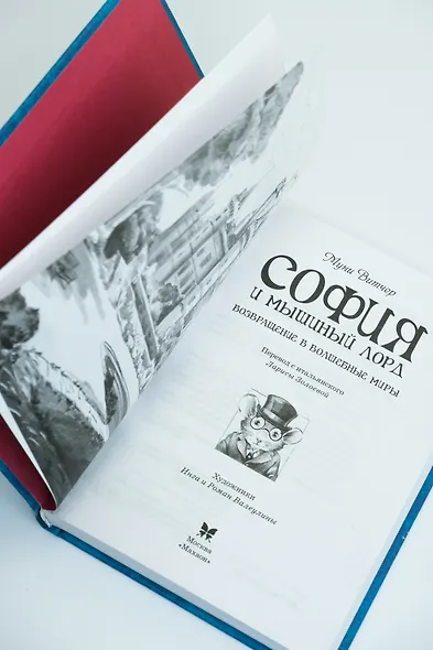 София и мышиный лорд. Возвращение в Волшебные миры - фото 14