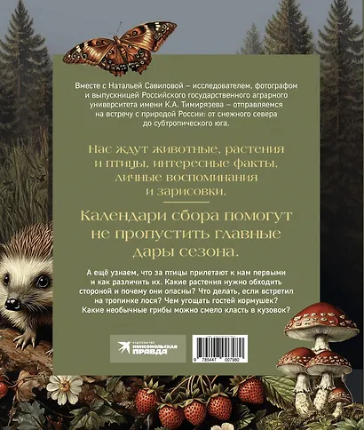 Тайная жизнь леса. Русская природа в фактах и зарисовках - фото 2