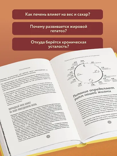 Печень против болезней: научите этот орган справляться с любыми заболеваниями, выводить токсины и сжигать жиры - фото 5