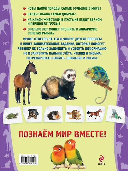 Домашние животные - фото 2