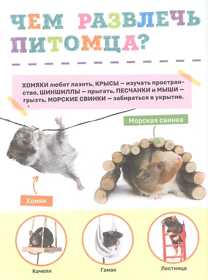 Домашние питомцы - фото 4
