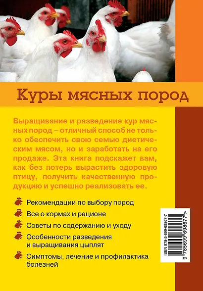 Куры мясных пород (для себя и на продажу) - фото 2