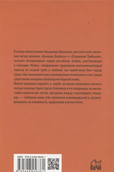 Ангелы Суджи. Операция "Поток" - фото 2