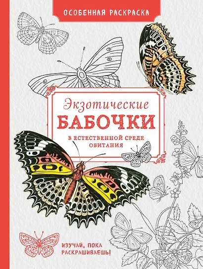 Особенная раскраска: Экзотические бабочки - фото 1