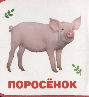 Домашние животные - фото 5