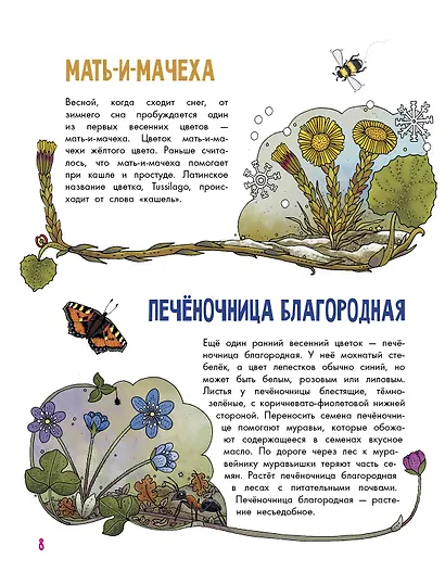 Цветы и растения - фото 4