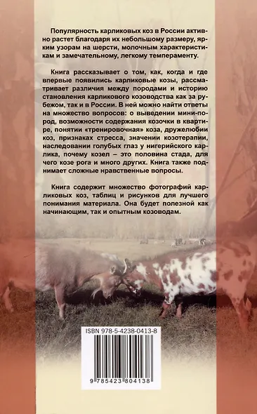 Карликовые козы. История развития и особенности содержания - фото 2
