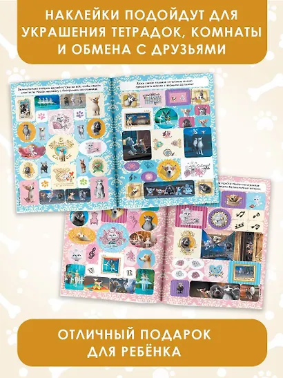 Великолепная пятерка. Большой альбом 200 наклеек (Лучшие друзья) - фото 5