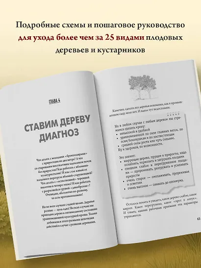 Обрезка и формировка деревьев и кустарников - фото 6