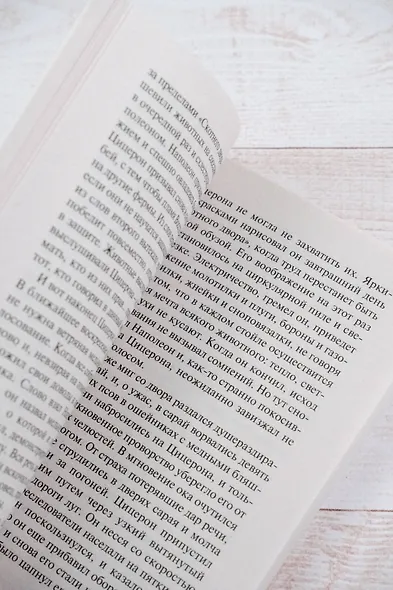 Скотный двор. Эссе - фото 8