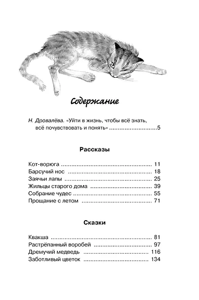 Кот-ворюга. Рассказы и сказки - фото 7