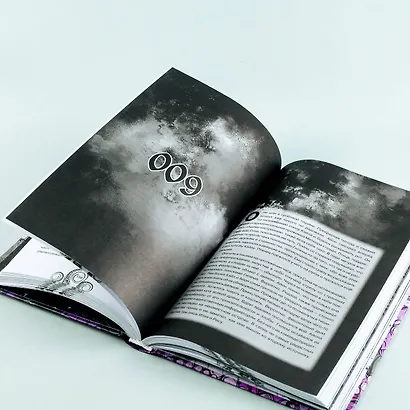 Дыхание. Судьба принца - фото 11