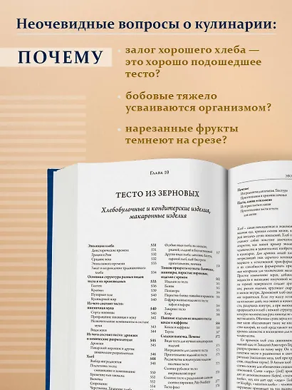 О еде и кулинарии. Наука о разнообразии продуктов и сочетании вкусов - фото 6