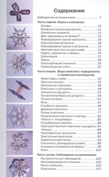 Снежинки. Тайная красота зимней природы. Занимательное снежинковедение. - фото 2