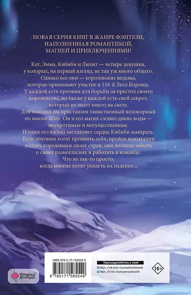 Королевские ведьмы. Том 1: Сущность северного сияния - фото 2