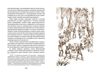 Томек среди охотников за человеческими головами - фото 12