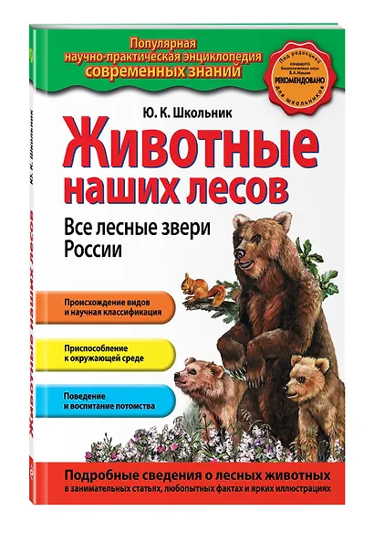 Животные наших лесов. Все лесные звери России - фото 3