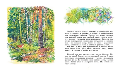 Лесные тайнички - фото 2