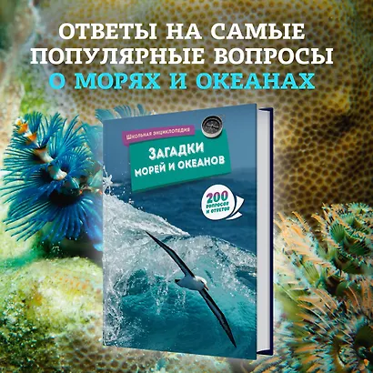 Загадки морей и океанов - фото 3