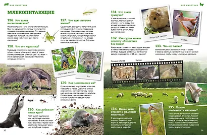 Мир животных: От актинии до ягуара - фото 4