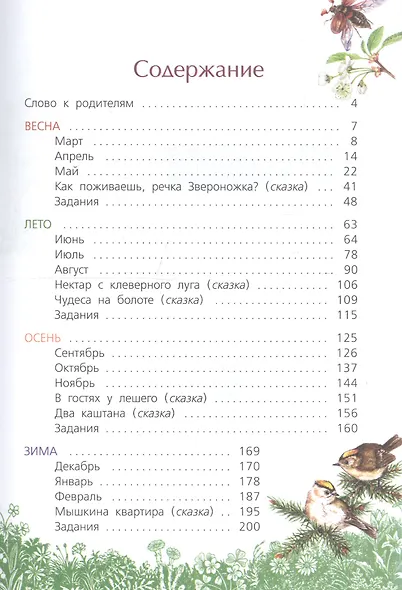 Круглый год - фото 2