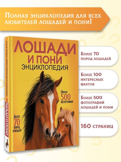 Лошади и пони - фото 4