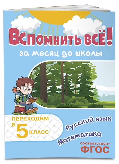 Вспомнить всё! За месяц до школы. Переходим в 5 класс. Математика и русский язык - фото 3