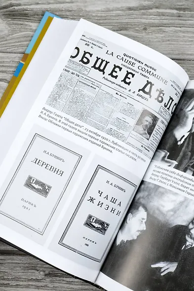 "Чувствую себя очень зыбко...". Публицистика, рассказы, воспоминания. 1920-1930 - фото 11