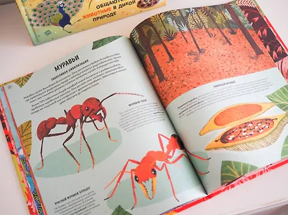 Ядовитые животные. Кто, зачем и как использует яды в дикой природе - фото 11