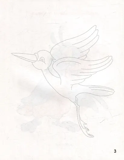 Назови, обведи и раскрась. Птицы - фото 3