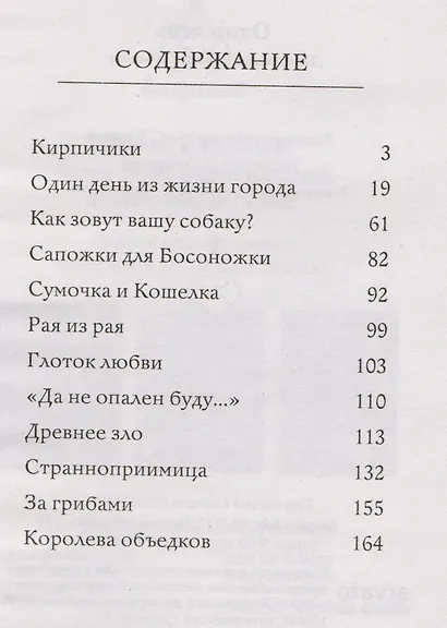 Один день. Просто прохожих не бывает - фото 2