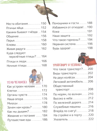 Детская энциклопедия универсальных знаний - фото 4