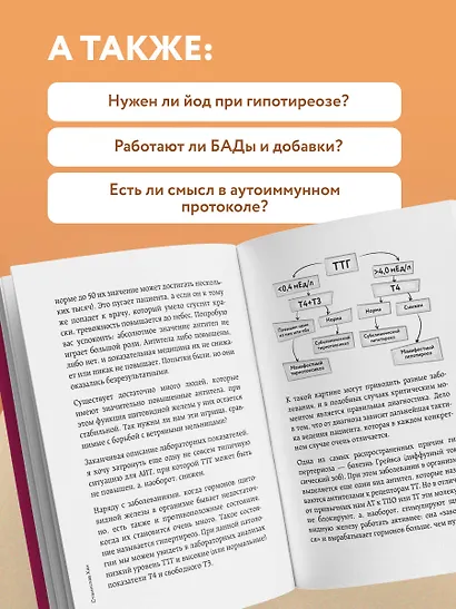 Страсти по щитовидке. Аутоиммунный тиреоидит, гипотиреоз: почему иммунитет работает против нас? - фото 7