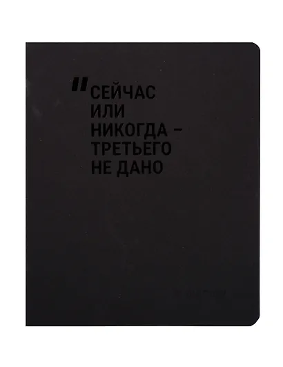 Тетрадь общая «Сейчас или никогда-третьего не дано», 48 листов в клетку, А5 - Schiller - фото 3